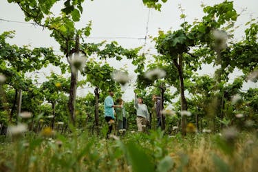 Visite d’une journée des vignobles de Txakoli, de Zumaia et de Getaria